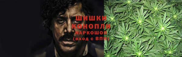 ГАЛЛЮЦИНОГЕННЫЕ ГРИБЫ Корсаков