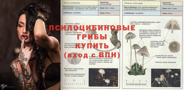 альфа пвп Коряжма