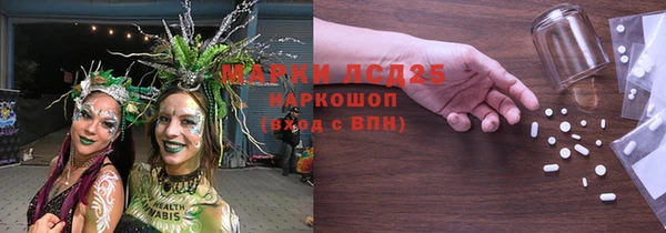 ГАЛЛЮЦИНОГЕННЫЕ ГРИБЫ Корсаков