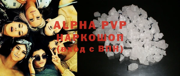 ГАЛЛЮЦИНОГЕННЫЕ ГРИБЫ Корсаков