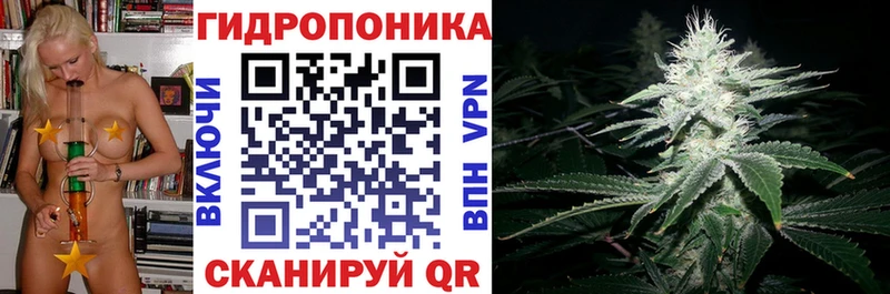 Купить где  Балей  Каннабис марихуана 